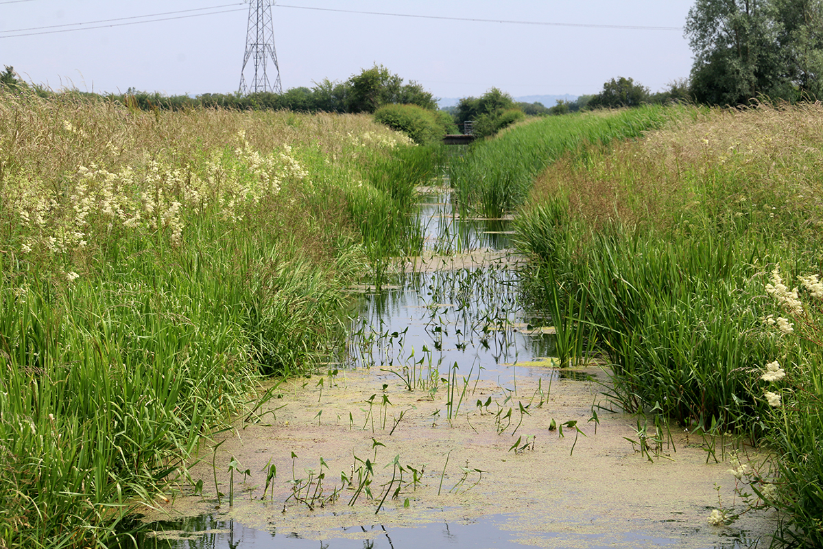 A commitment to Protecting and Restoring the Gwent Levels for Future ...